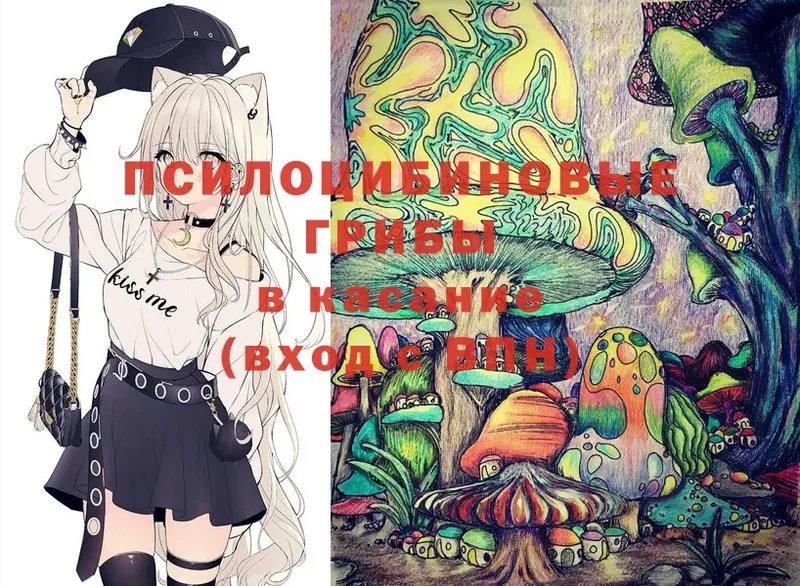 магазин    KRAKEN ссылка  Псилоцибиновые грибы Magic Shrooms  Кизляр 